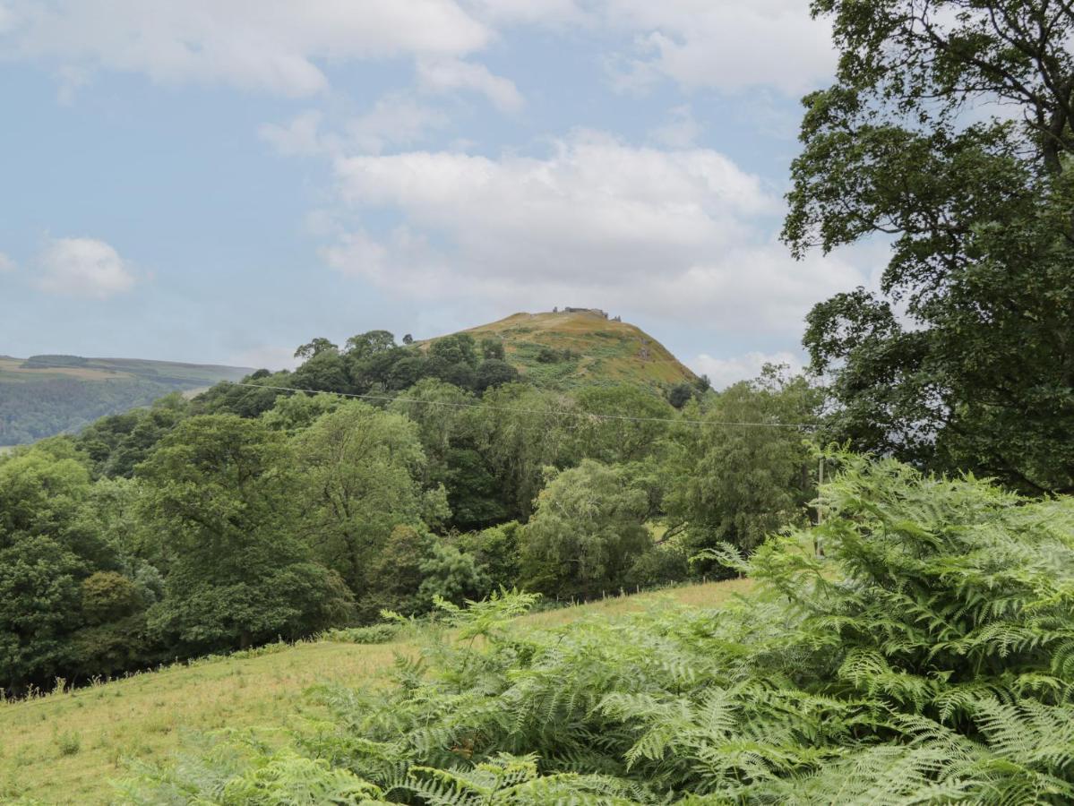Tan Y Castell Shepherds Hut Llangollen Extérieur photo